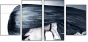 55810226