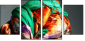 56076914