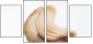 56309569