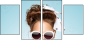 58845026