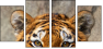 59798134