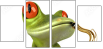 61064251