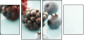 75558207