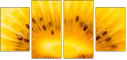 78671231