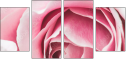 95247840