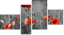 Fortyk - Four-piece canvas