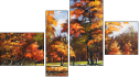 Fortyk - Four-piece canvas