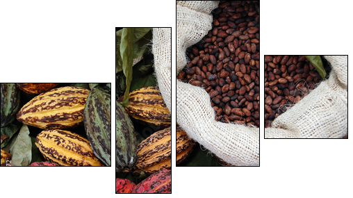 Cocoa - Four-piece canvas, Fortyk