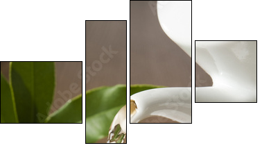 tea - Four-piece canvas, Fortyk