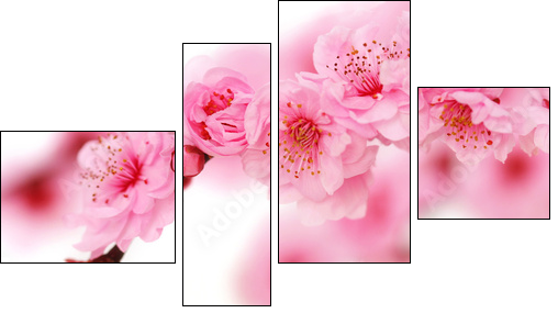 Spring cherry flowers reflected in rendered water - Four-piece canvas, Fortyk