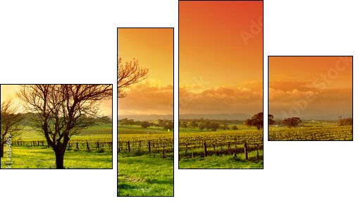 vineyard landscape - Four-piece canvas, Fortyk