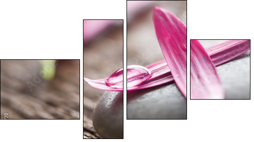 Flower petals - Four-piece canvas, Fortyk