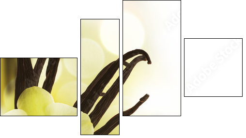 Beautiful Vanilla beans and flower over blurred background - Four-piece canvas, Fortyk