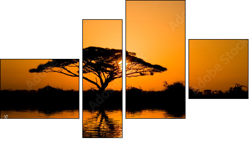 acacia tree at sunrise - Four-piece canvas, Fortyk
