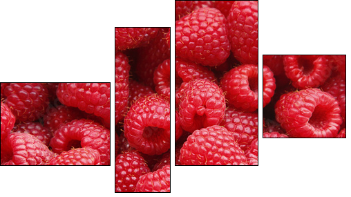 Sweet raspberry - Four-piece canvas, Fortyk