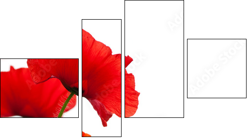 poppies isolated on white background- border angle of page - Four-piece canvas, Fortyk