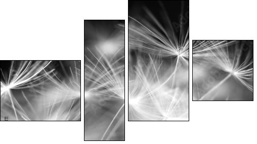 Macro beauty dandelion - Four-piece canvas, Fortyk