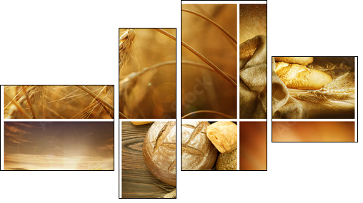 Wheat Collage.Harvest concepts - Four-piece canvas, Fortyk