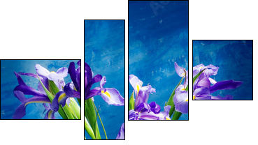 irises - Four-piece canvas, Fortyk