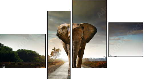 Walking Elephant - Four-piece canvas, Fortyk
