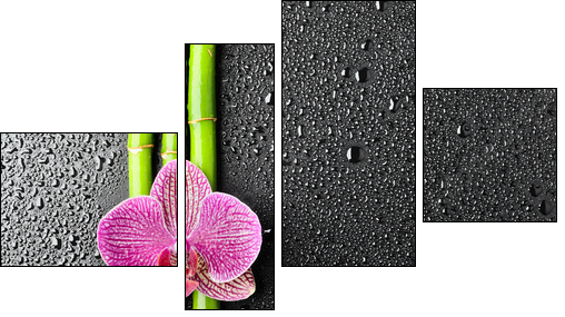 spa background - Four-piece canvas, Fortyk