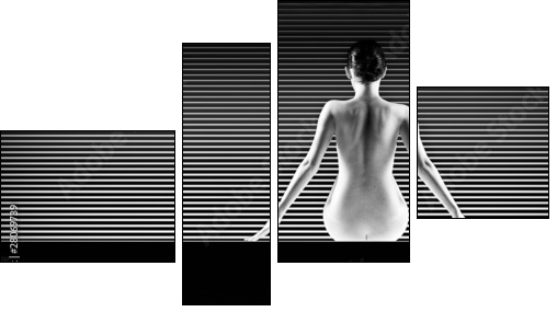 black and white artistic nude; a back silhouette shot on striped - Four-piece canvas, Fortyk