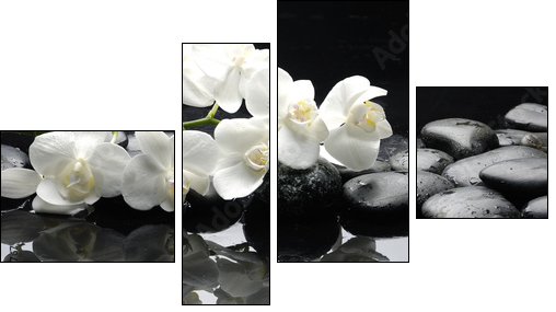 Close up white orchid with stone water drops - Four-piece canvas, Fortyk