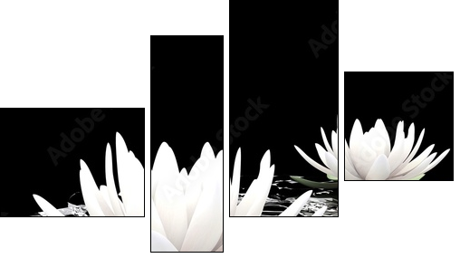3d lotus on water - Four-piece canvas, Fortyk