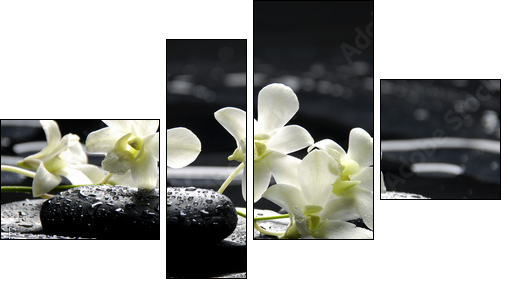 Zen stones and white orchids with reflection - Four-piece canvas, Fortyk