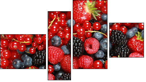 Beeren - Four-piece canvas, Fortyk