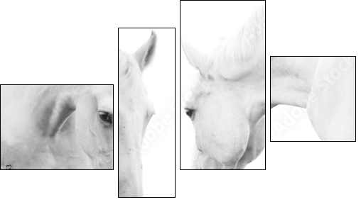 white horses - Four-piece canvas, Fortyk