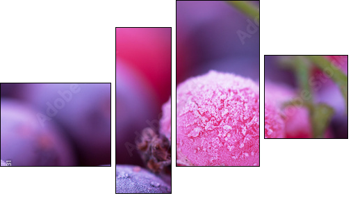 Frozen berries - Four-piece canvas, Fortyk