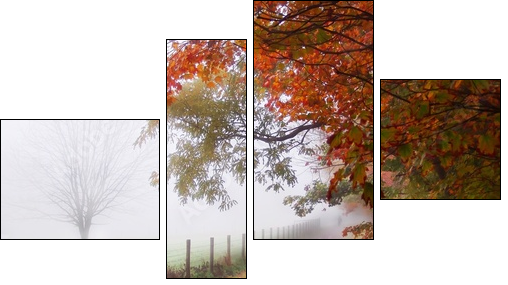 misty autumn morning - Four-piece canvas, Fortyk