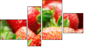 Strawberries closeup - Four-piece canvas, Fortyk
