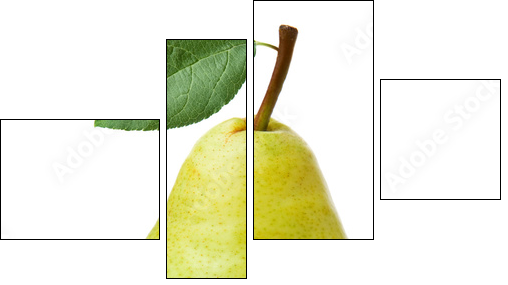 pears isolated on white background - Four-piece canvas, Fortyk