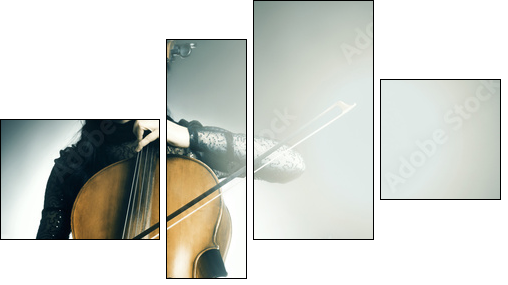 Cello musical instrument musician cellist playing - Four-piece canvas, Fortyk