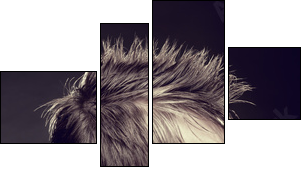 Men's hairstyle - Four-piece canvas, Fortyk