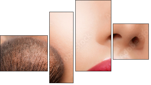 Make-up closeup. Cosmetic Powder Brush. Perfect Skin - Four-piece canvas, Fortyk
