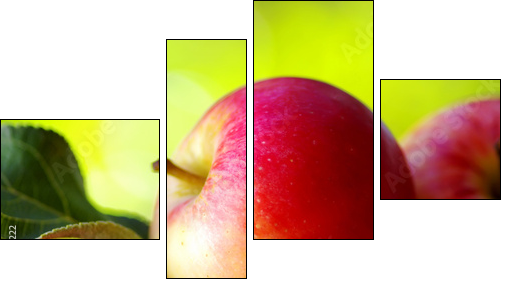ripe red apples on table - Four-piece canvas, Fortyk