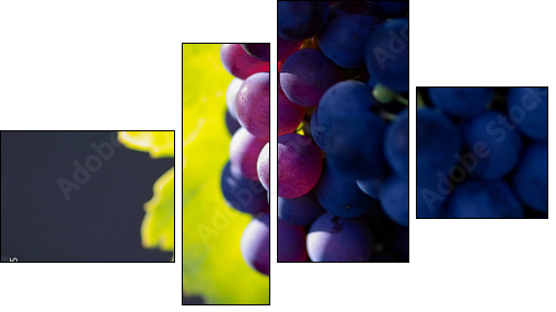 glowing dark wine grapes - Four-piece canvas, Fortyk