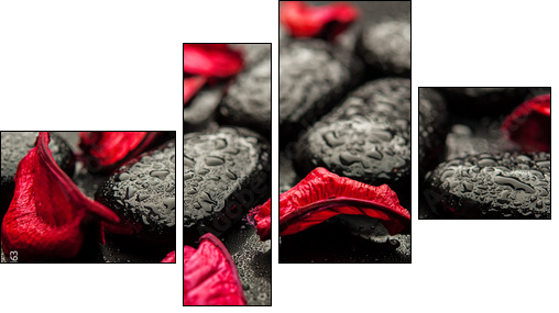 background spa. black stones and red petals with water droplets - Four-piece canvas, Fortyk