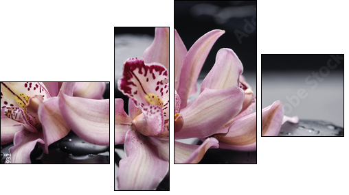 spa concept âgorgeous pink orchid and zen stones - Four-piece canvas, Fortyk
