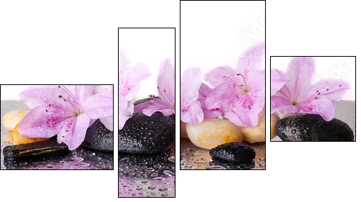 Pink flowers and black stones - Four-piece canvas, Fortyk