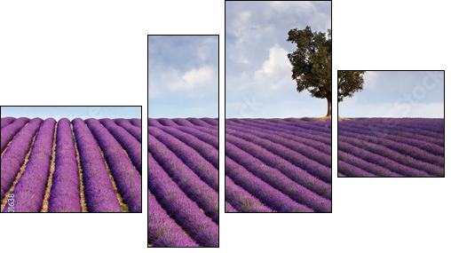 Lavender field and a lone tree - Four-piece canvas, Fortyk