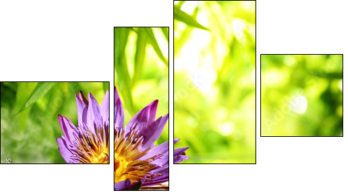 Spa still life with lotus float on water - Four-piece canvas, Fortyk