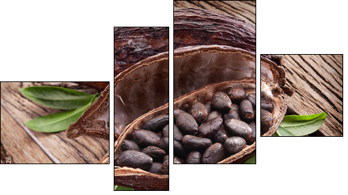 Cocoa pod - Four-piece canvas, Fortyk