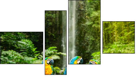 Blue-and-Yellow Macaw - Four-piece canvas, Fortyk