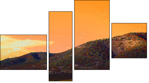 Vineyard Sunset - Four-piece canvas, Fortyk