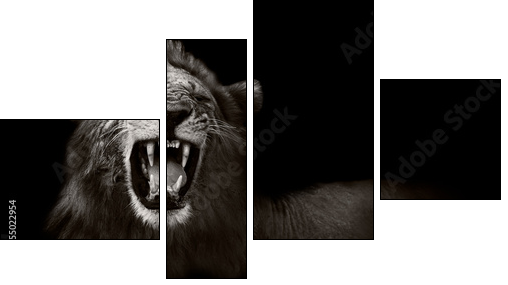 Lion displaying dangerous teeth - Four-piece canvas, Fortyk