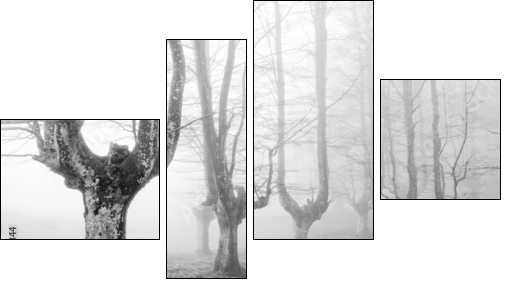 creepy forest with scary trees - Four-piece canvas, Fortyk